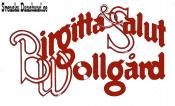 BIRGITTA WOLLGRD & SALUT (decal)